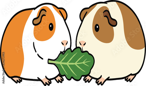 Cute Cartoon Vector Illustration of Two Adorable Guinea Pigs Sharing a Fresh Green Lettuce Leaf, Perfect for Pet Store Graphics and Small Animal Projects.