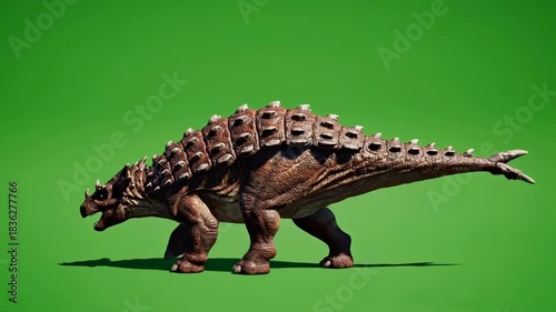 Ankylosaurus dinosaur with armor plating stands on a green screen background in a studio setting