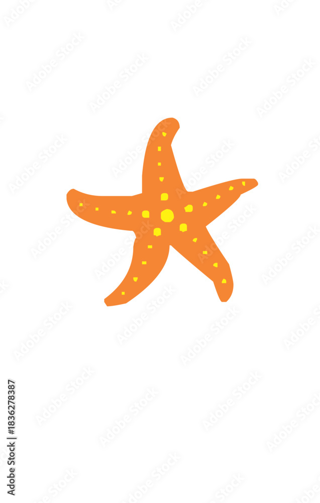 Obraz premium starfish on white background