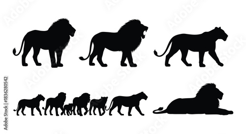 Silhouettes of lions in various poses standing walking and resting