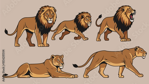 A collection of five lions, including males with manes and females, depicted in various poses against a neutral background.