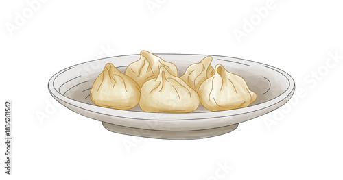 Steamed dumplings on a plate, traditional asian cuisine snack