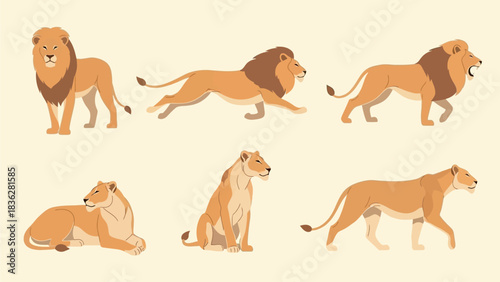 A collection of majestic lions and lionesses in various dynamic poses. This set includes standing, running,roaring, and walking wild cats in a flat vector style