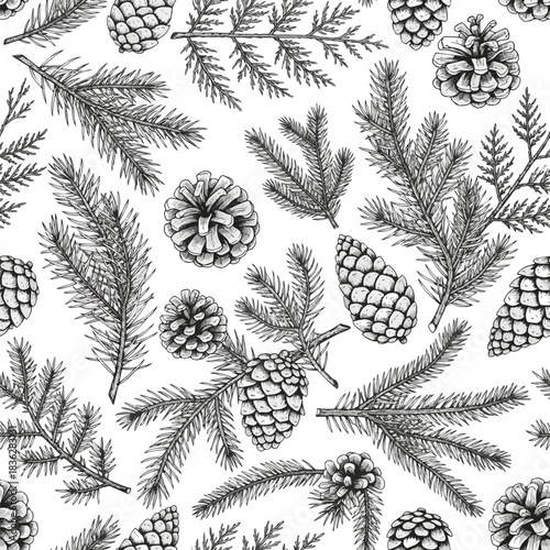 Isolated a hand drawn ink decorative wrapping paper or textile print design in seamless pattern with pinecones and coniferous branches Vector art with white background ..