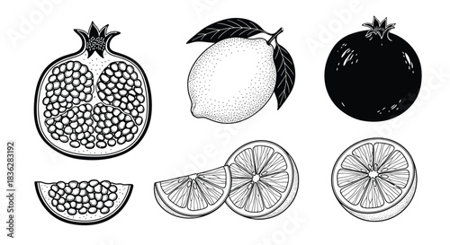 Vintage-style set of hand-drawn pomegranate and lemon fruits, illustrated with a detailed black and white dotwork technique.