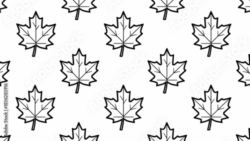 Seamless pattern of outlined black and white maple leaves