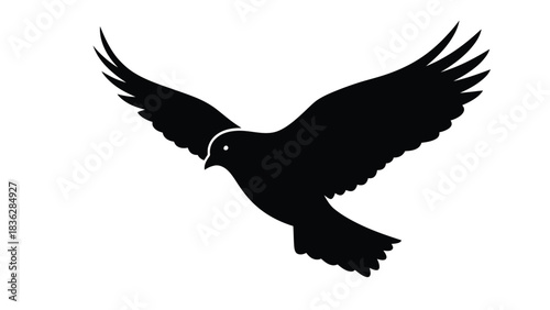 Bird in flight silhouette against white background