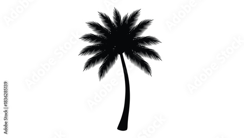Palm tree silhouette on white background