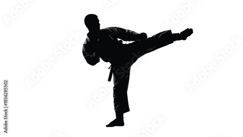 Man performing a high kick in martial arts uniform