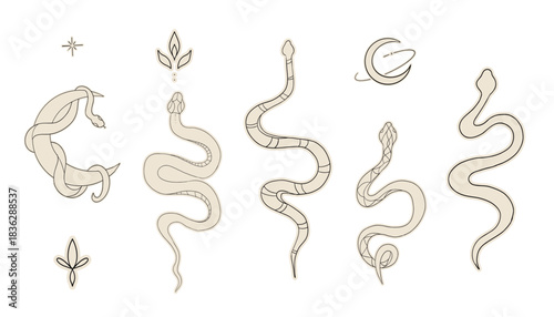 Celestial snake kundalini line tattoo. Black serpent silhouette with stars. Magic animal symbol. Esoteric, witchcraft design. Vector illustration