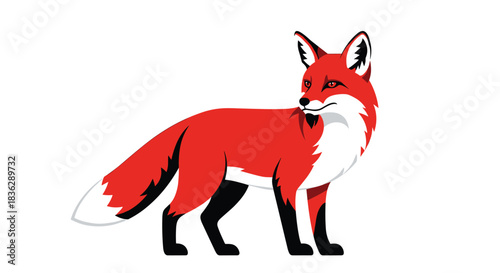 Stylized flat vector illustration of a clever red fox with a bushy white-tipped tail standing and looking over its shoulder.
