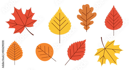 Collection of colorful autumn leaves on a white background.