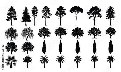 Silhouetted trees vector set illustration with various species for design
