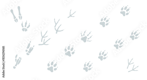 Illustrative depiction featuring the distinctive trails animals, capturing their presence winter,