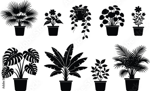 Large Houseplant Silhouette Collection Vector Set, Featuring Monstera, Palm, Banana Leaf, and Hanging Plants for Interior Design and Botanical Home Decor Graphics.