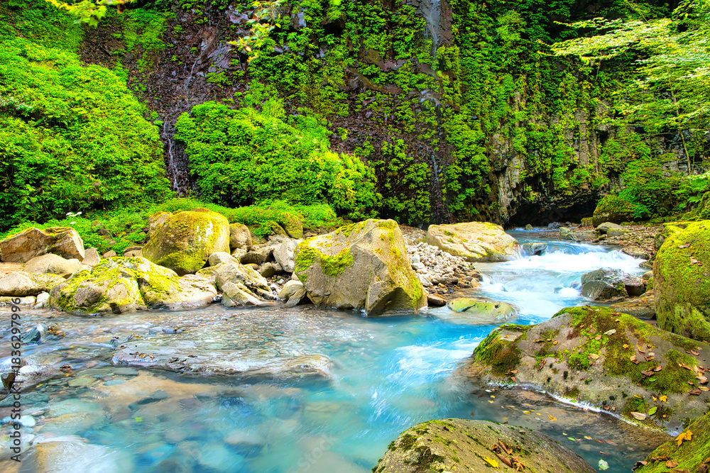 Naklejka premium 栃木県那須塩原市 緑の渓谷を流れるスッカン沢