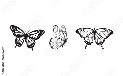 Butterfly silhouette set in black and white vector illustration isolated on white background for logo decoration and graphic design