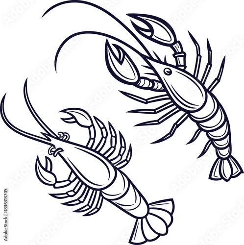 vector crayfish vector illustration