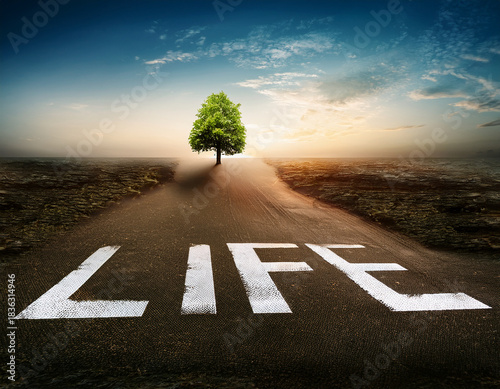 Life Concept. Existence survival . New life and hope concept image.