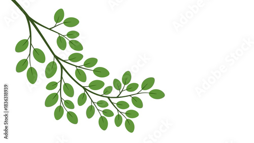 imple illustration of a green leafy branch.