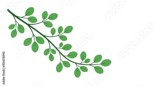 A simple illustration of a green leafy branch.