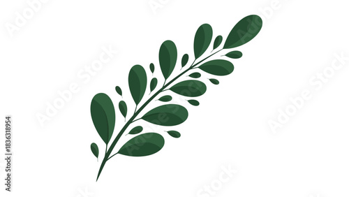 A stylized illustration of a green leafy branch, featuring numerous small, dark green oval leaves arranged along a slender stem.