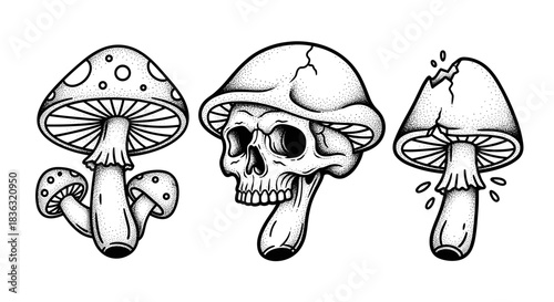 Skull and Mushroom Illustrations in a Tattoo Style.