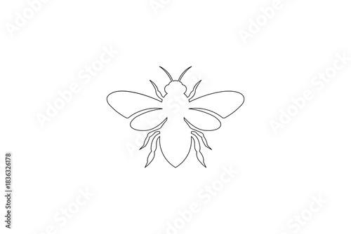 Minimalist insect drawing continuous line