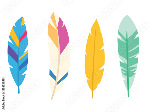 Bird feather collection, exotic colorful feather