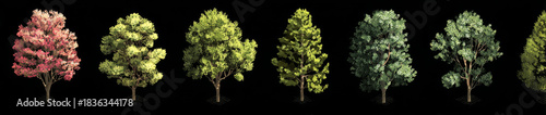 Isometric view of diverse tree species with varied foliage and trunk textures, rendered in a realistic style