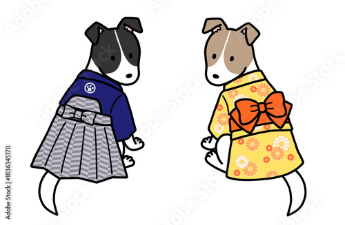 着物を着たオスメスの犬