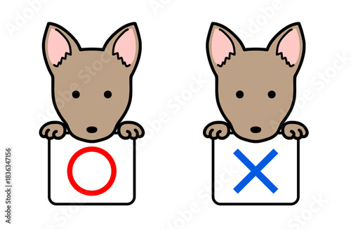 マルバツ、正解・不正解の札を持つ犬