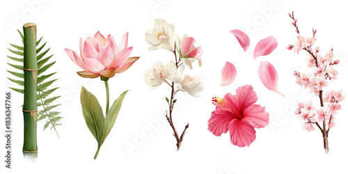 Collection of delicate floral elements including bamboo tulips orchids hibiscus and cherry blossoms on white background