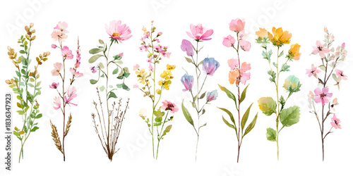 Collection of delicate watercolor wildflowers and greenery arranged in a vertical line on white background