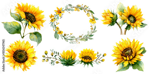 Collection of beautiful watercolor sunflowers and floral elements for design and decoration