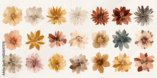 Collection of abstract floral watercolor elements in warm earthy tones and muted pastel shades