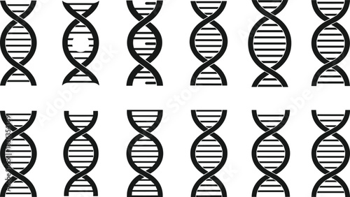 Set of DNA Double Helix Structures Vector, Genetic Code and Deoxyribonucleic Acid Symbols, Black and White Science and Biology Icons for Research