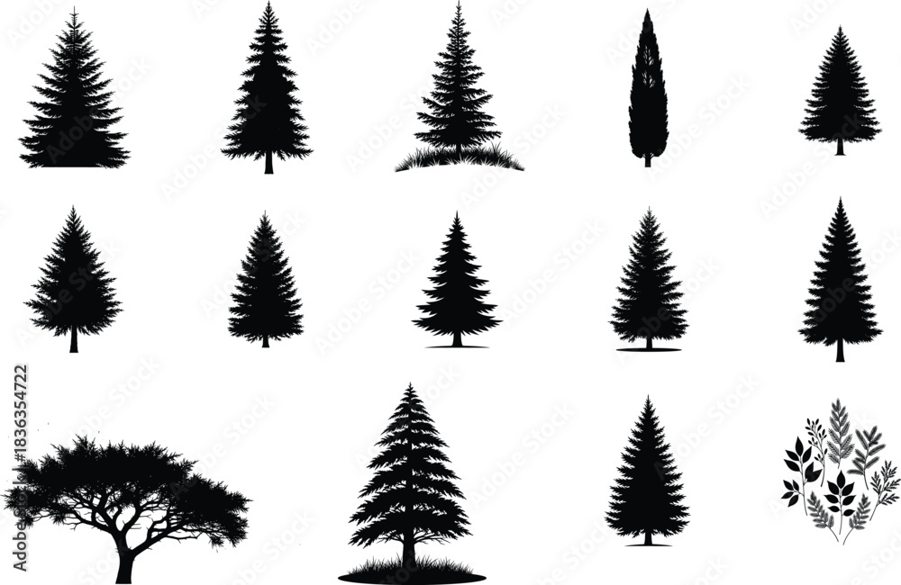 Fototapeta premium Evergreen vector design with cmyk colors helvetica and courier fonts