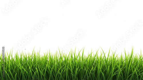 Dense Green Grass Border, Horizontal Realistic Simple Edge on White Background for Banner Bottom
