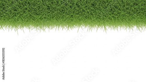 Dense Green Grass Border, Horizontal Realistic Simple Edge on White Background for Banner Bottom