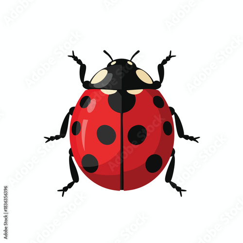 Cute Red Ladybug Insect Illustration on White Background for Garden and Nature Concepts