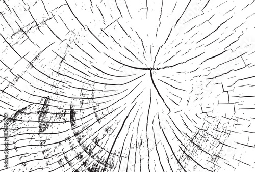 Cross Section Tree Trunk Vector Illustration with Detailed Crack Pattern