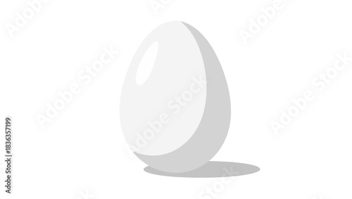 A white egg with a grey shadow on a white background
