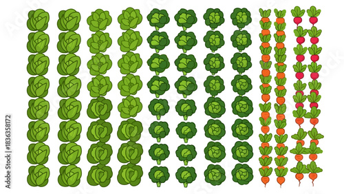 Array of vegetables including lettuce broccoli carrots and radishes