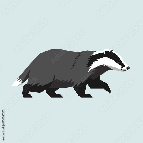 Vector Illustration of a Badger in Motion