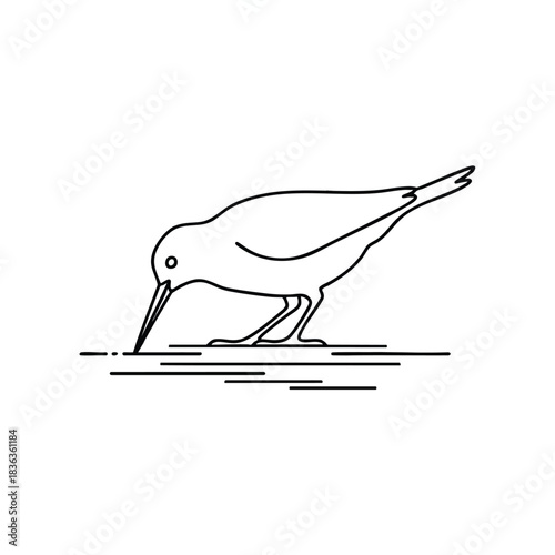 Bird Drinking Water Simple Line Art