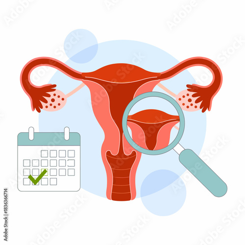 Female Reproductive System Diagram with Calendar for Tracking Menstrual Cycle and Ovulation for Healthcare Education