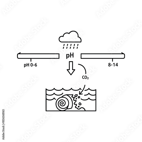 Ocean acidification process, environmental impact on marine life