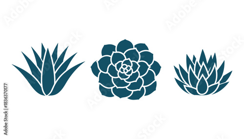 Three stylized teal succulent plant icons arranged horizontally on a white background graphic