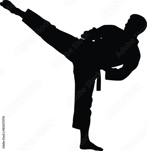 Black silhouette of a martial artist performing a high kick